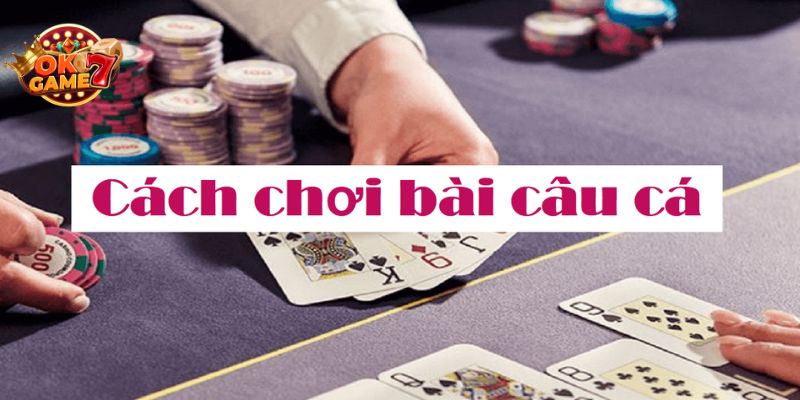 Học cách chơi bài câu cá đơn giản 