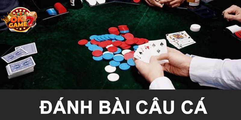 Thông tin cơ bản về cách chơi bài câu cá